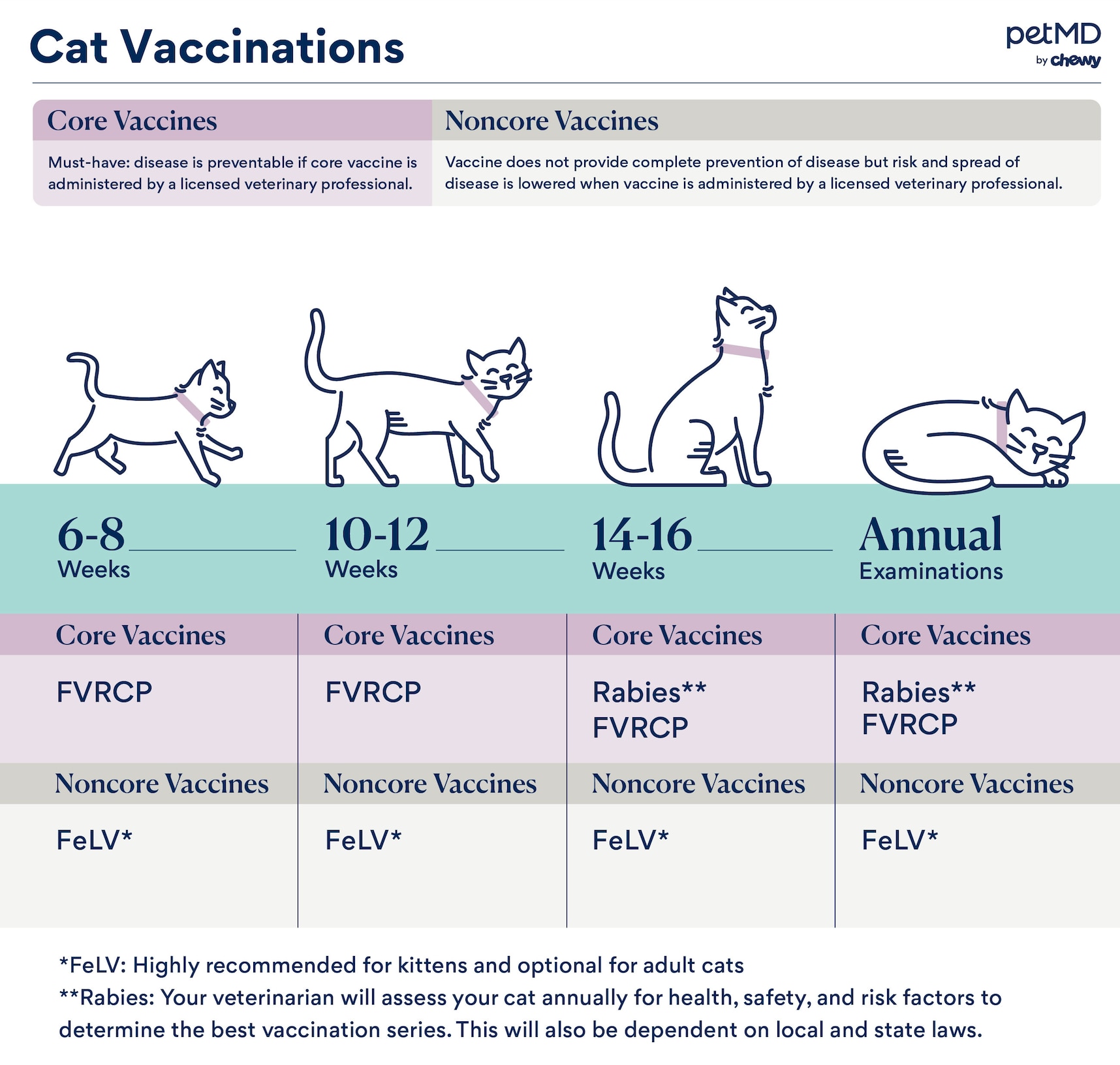 The 3 in 1 vaccine for cats explained (Learn exactly which diseases it helps prevent in pets).