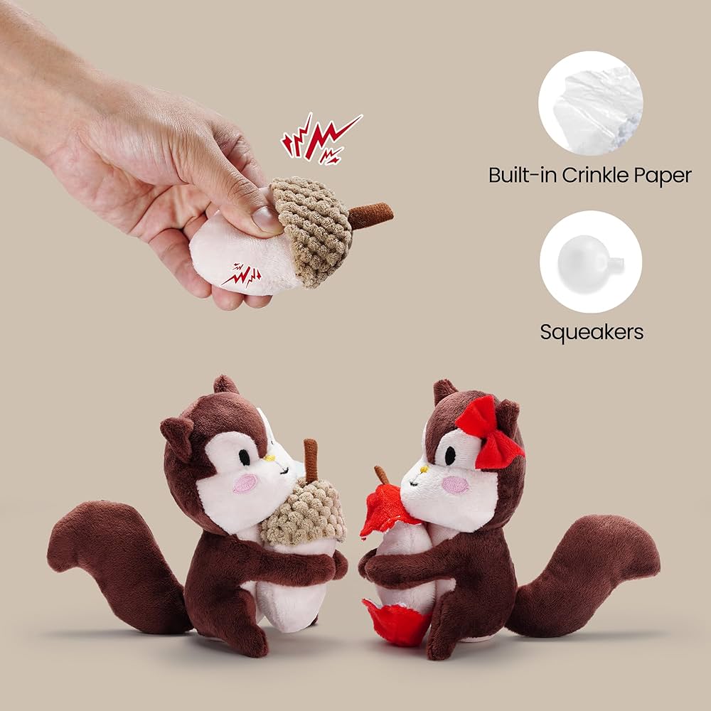 Best toys for pet squirrels: Keep your furry friend happy!