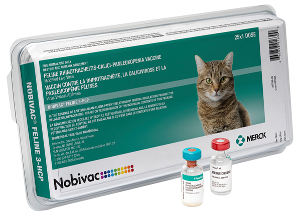 The 3 in 1 vaccine for cats explained (Learn exactly which diseases it helps prevent in pets).