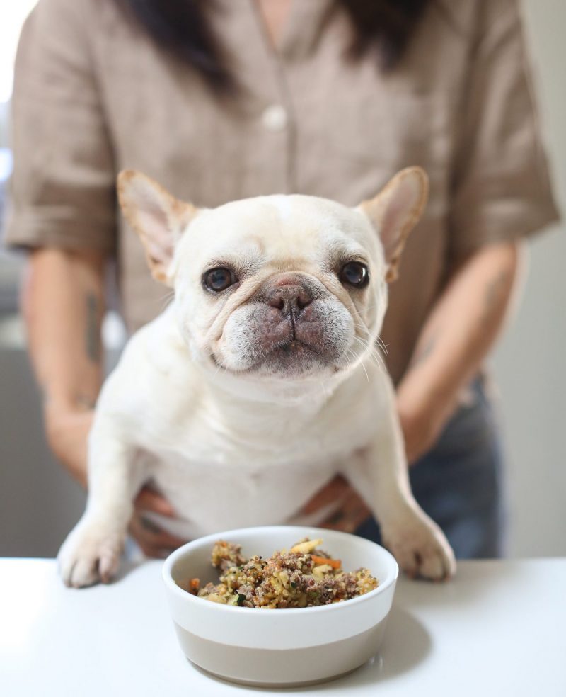 Homemade French Bulldog Food: Why Are People Making It? (Understand the Big Reasons Owners Love This Food)