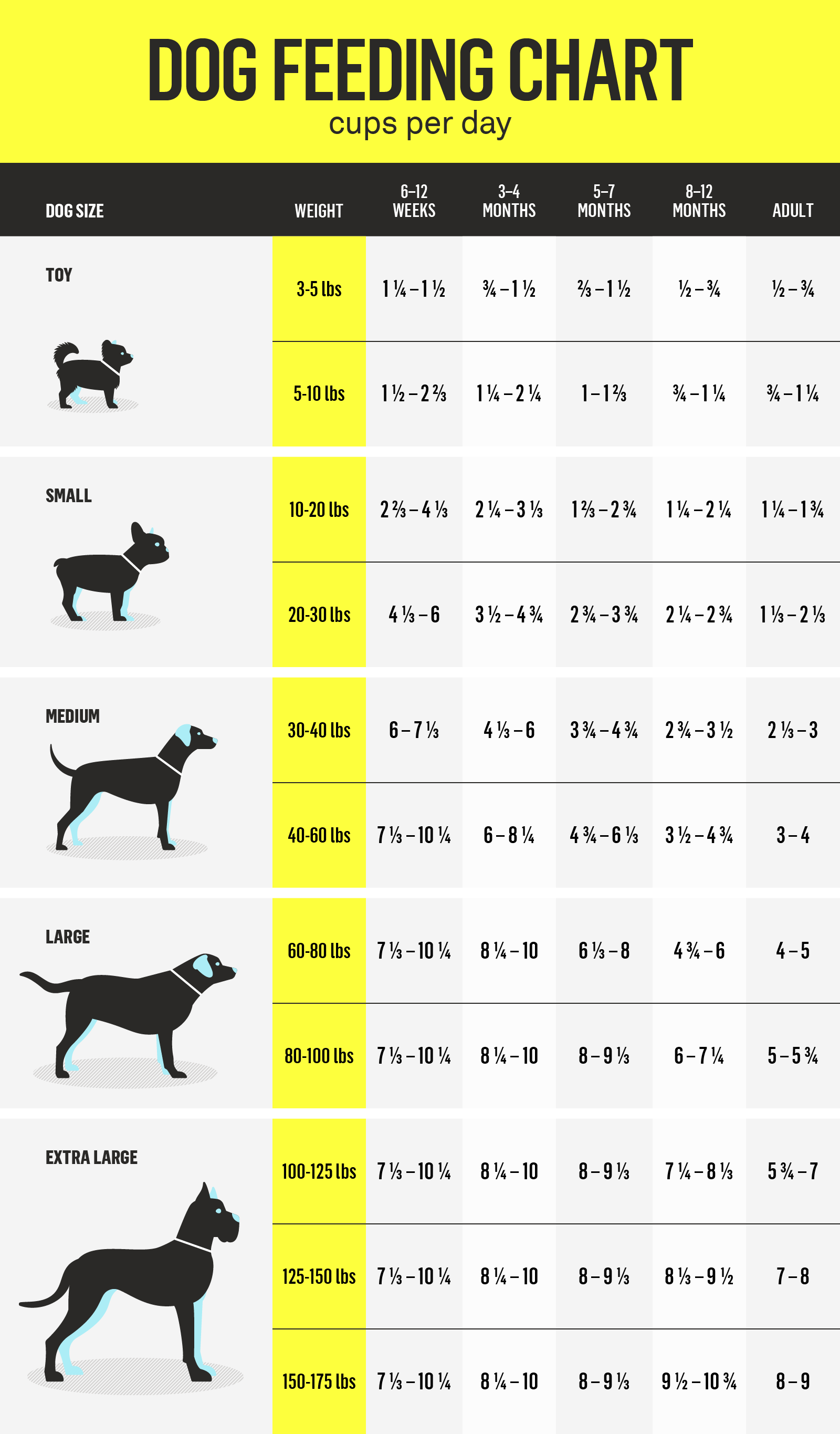 Wondering how many cups in 20 lbs of dog food? Learn this quick tip for pet parents.