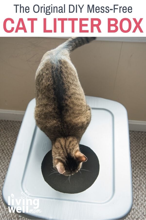 Wondering how to change cat litter box without a mess? Weve got quick tips for you.