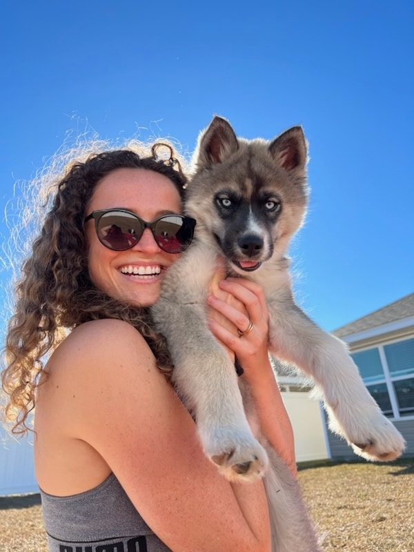Looking for Siberian Husky Puppies for Sale in AL? We List Reputable Breeders and Available Pups Nearby!