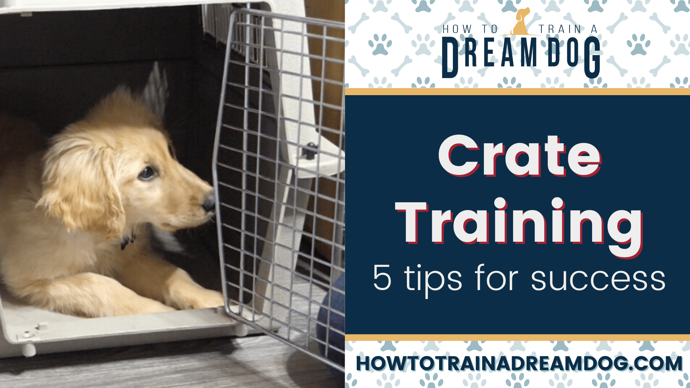 How to kennel train a puppy at night? Expert advice to make your puppy love their crate quickly.