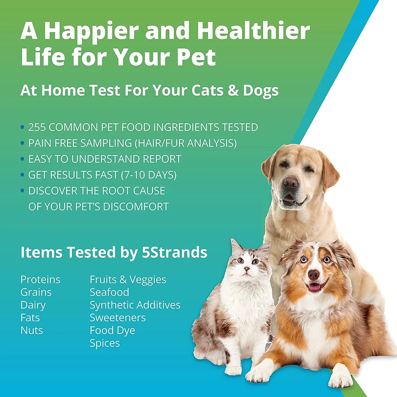 Easy Pet Food Intolerance Test: Test Your Pet at Home