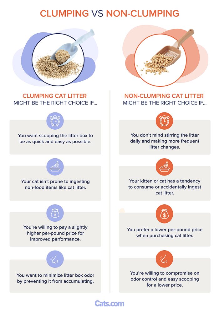 Making the Right Choice: Whats the difference between clumping and non clumping cat litter detailing the pros and cons.