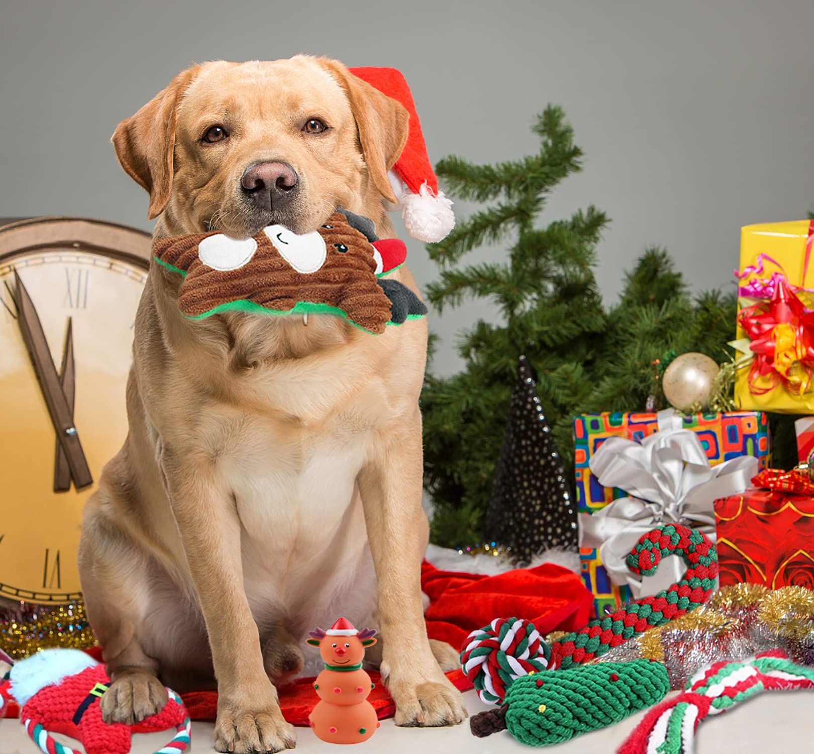 Best holiday pet toys for your dog? Find amazing festive gifts they will love playing with!