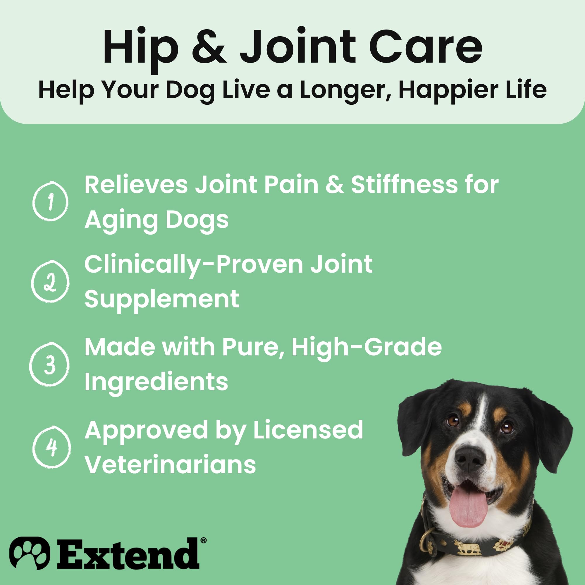 Does your dog show joint pain? Try extend pet health joint care for dogs (Real support for a happier, more comfortable life)