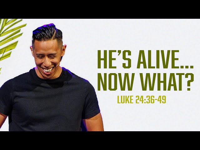 What Was Peters Reaction in Luke 24:19-24? Find Out Now