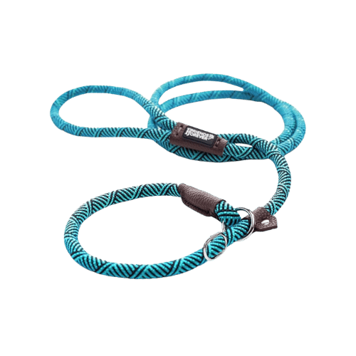 Picking the perfect rope slip leash for dogs: Simple tips to find one that is comfortable and gives good control.