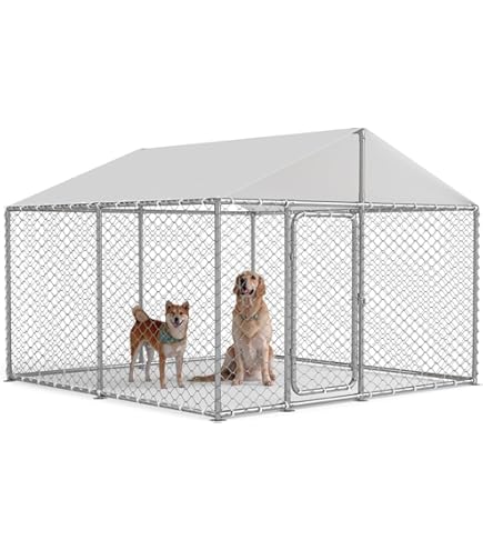 Durable 6 Dog Kennel: Keep Your Pets Safe and Secure