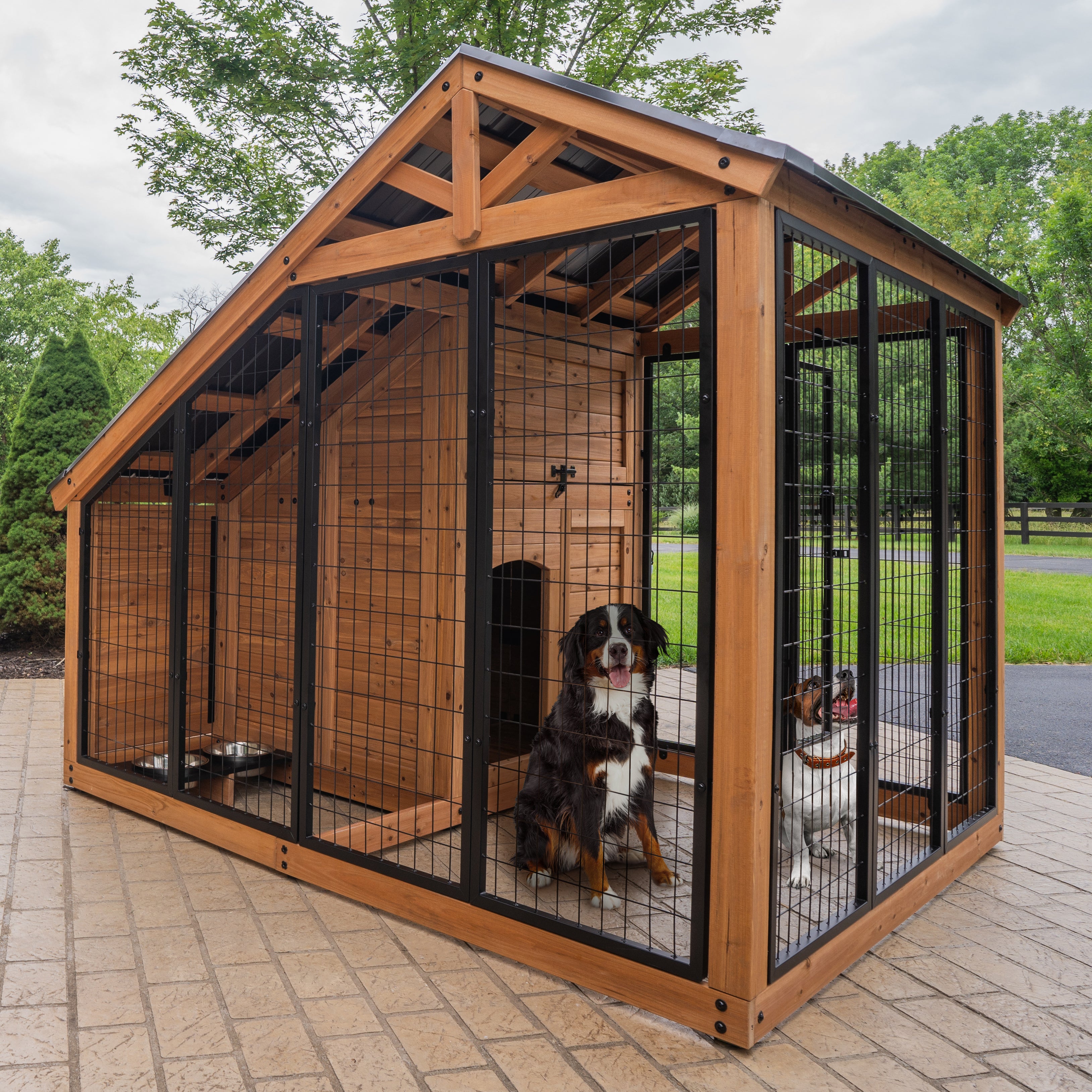 Need easy-to-clean above ground dog kennels for sale? Discover hygienic and practical solutions for your yard.