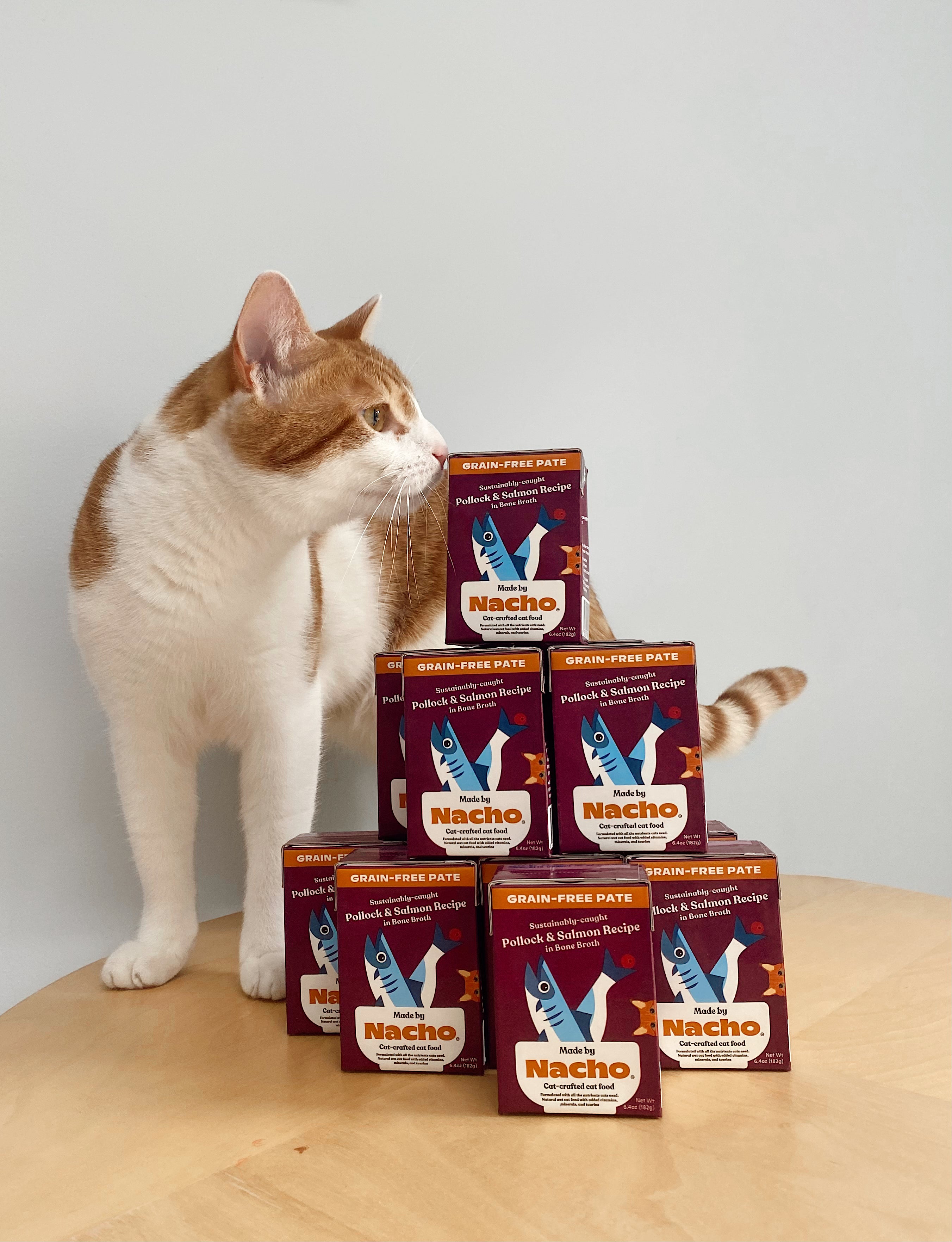 Cat food with omega 3 helps your cat (Vets recommend it!)