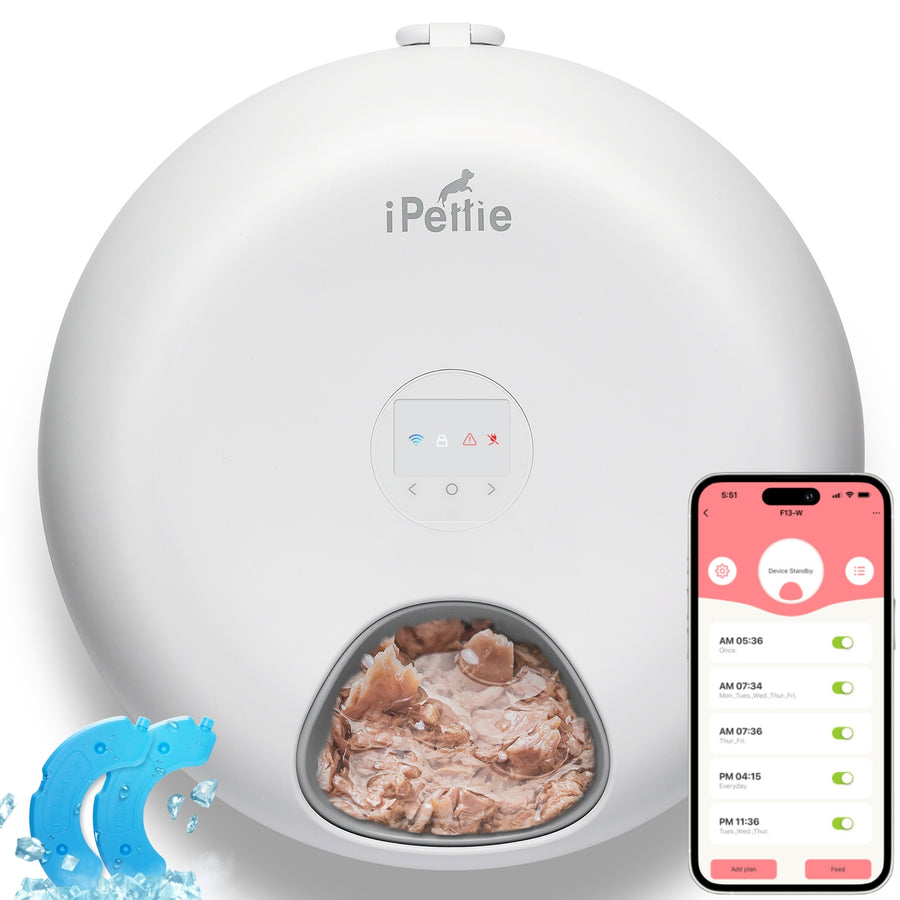 Looking for an ipettie automatic pet feeder? This smart device can truly simplify your pet care routine!