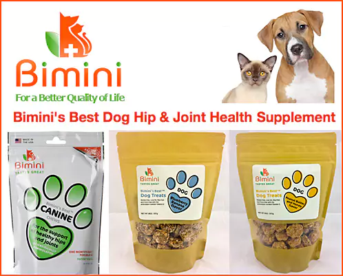 Need trusted private label pet food manufacturers usa? Discover quality suppliers for your pet products now.