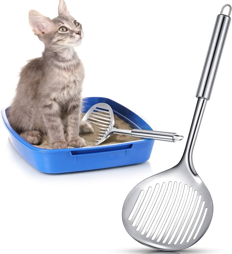 How to pick the best cat litter scoop stainless steel? (Look for these key features for easy cleaning.)