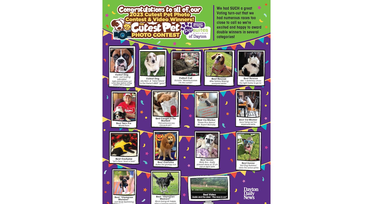 How to find pets in Dayton Daily News classified pets? (Follow these simple tips for success!)