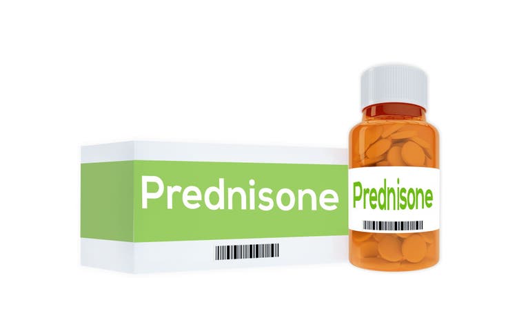 Correct Depo-Medrol for Dogs Dosage? Find Out Here