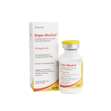 Correct Depo-Medrol for Dogs Dosage? Find Out Here