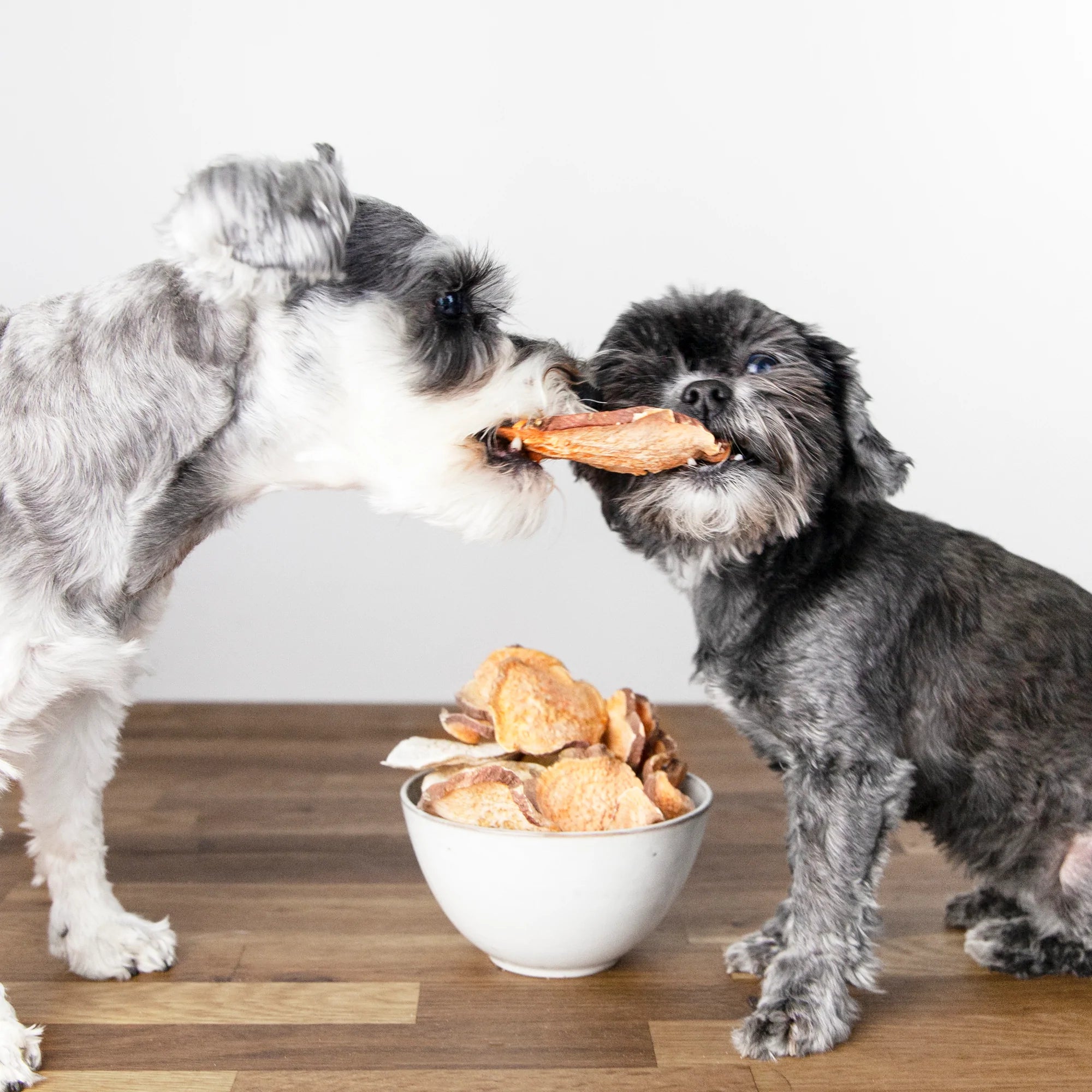 The benefits of dog food with sweet potato explained (Simple reasons this food is great for your dog daily)