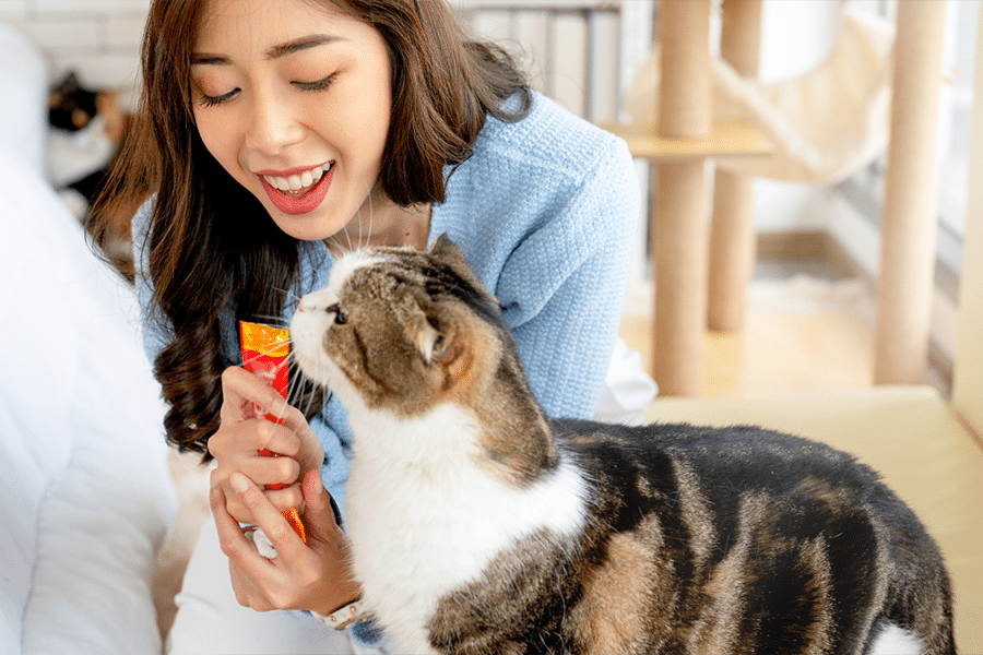 How to choose great cat food with omega 3? Follow these simple tips for happy cats.