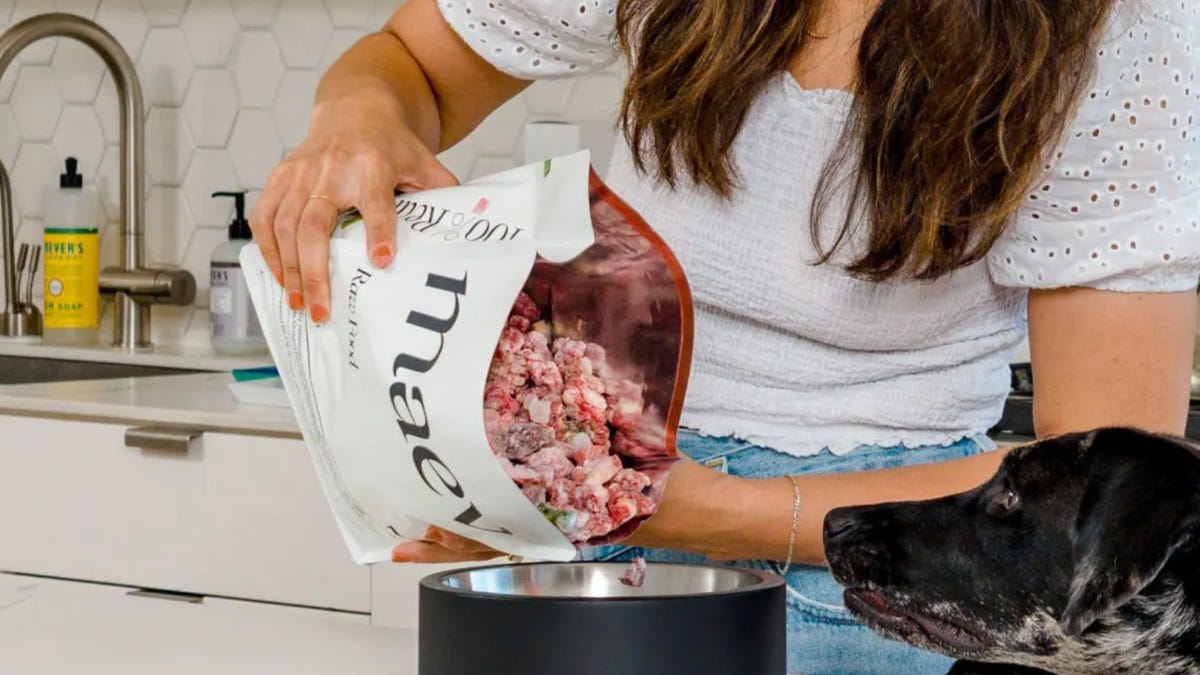 Top Pet Food Ingredient Suppliers? Save Money Best Quality Guide!