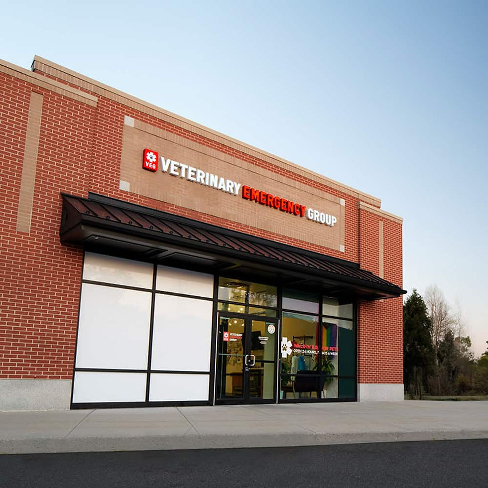 Where to find pet urgent care Peabody? Top spots for emergencies right here