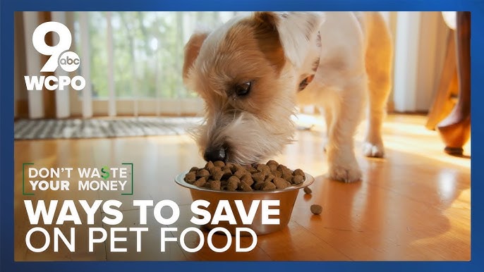 Top Pet Food Ingredient Suppliers? Save Money Best Quality Guide!