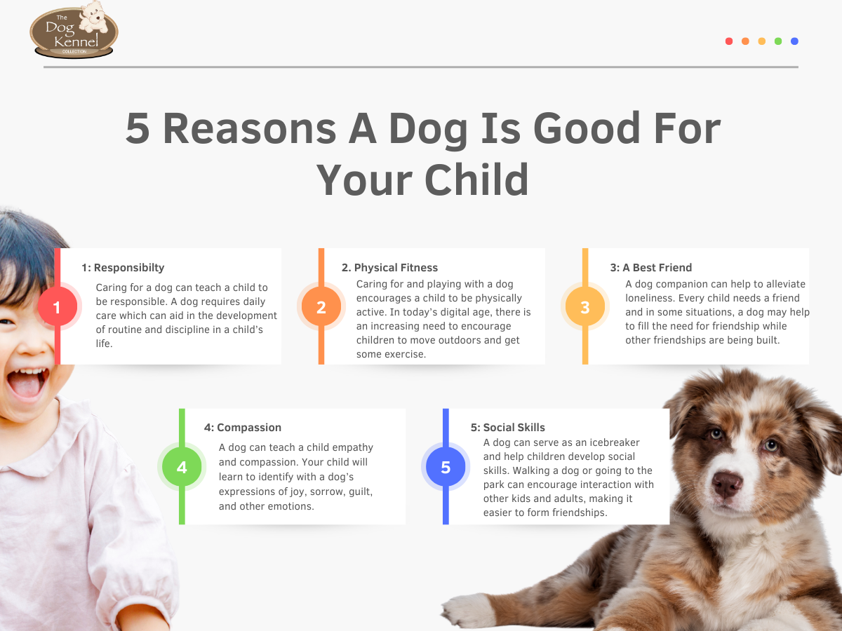 Newsletter about dogs benefits? Why every dog owner needs one today!