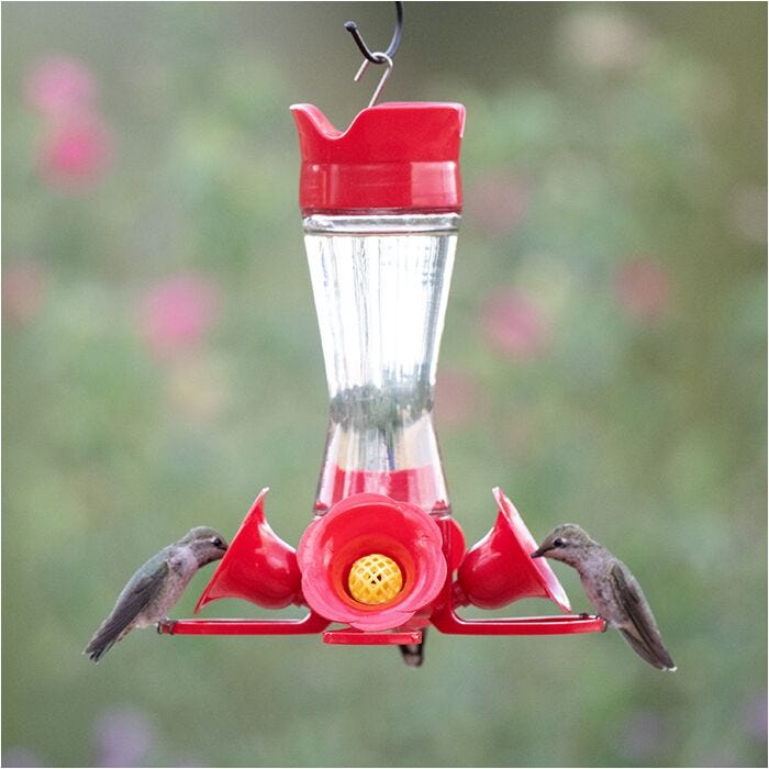 Where to buy perky pet hummingbird feeder replacement parts? Top sites for fast shipping!