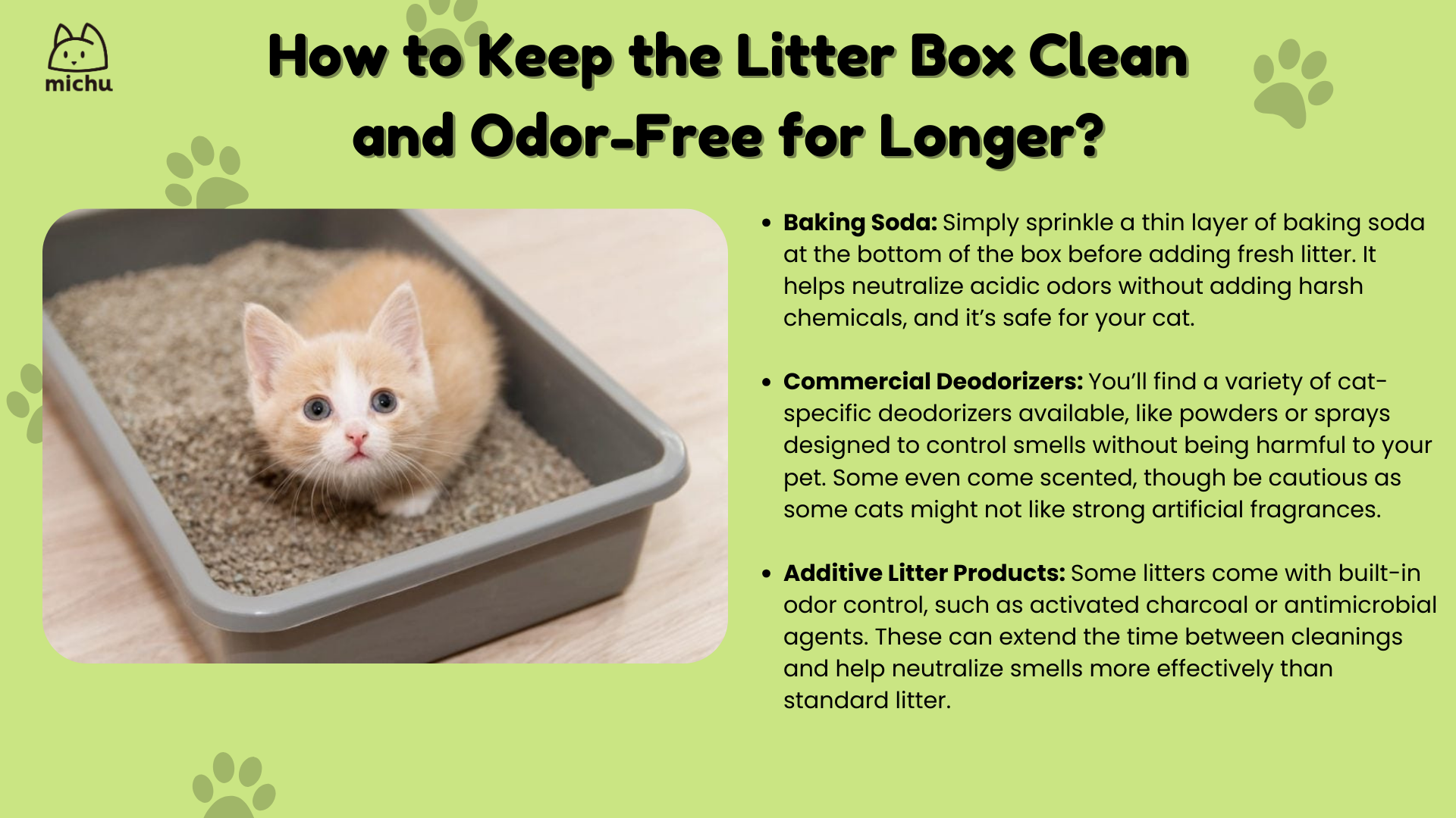 Cat Litter Amounts Solved: How Much to Pour for Clean Box & Happy Cat?