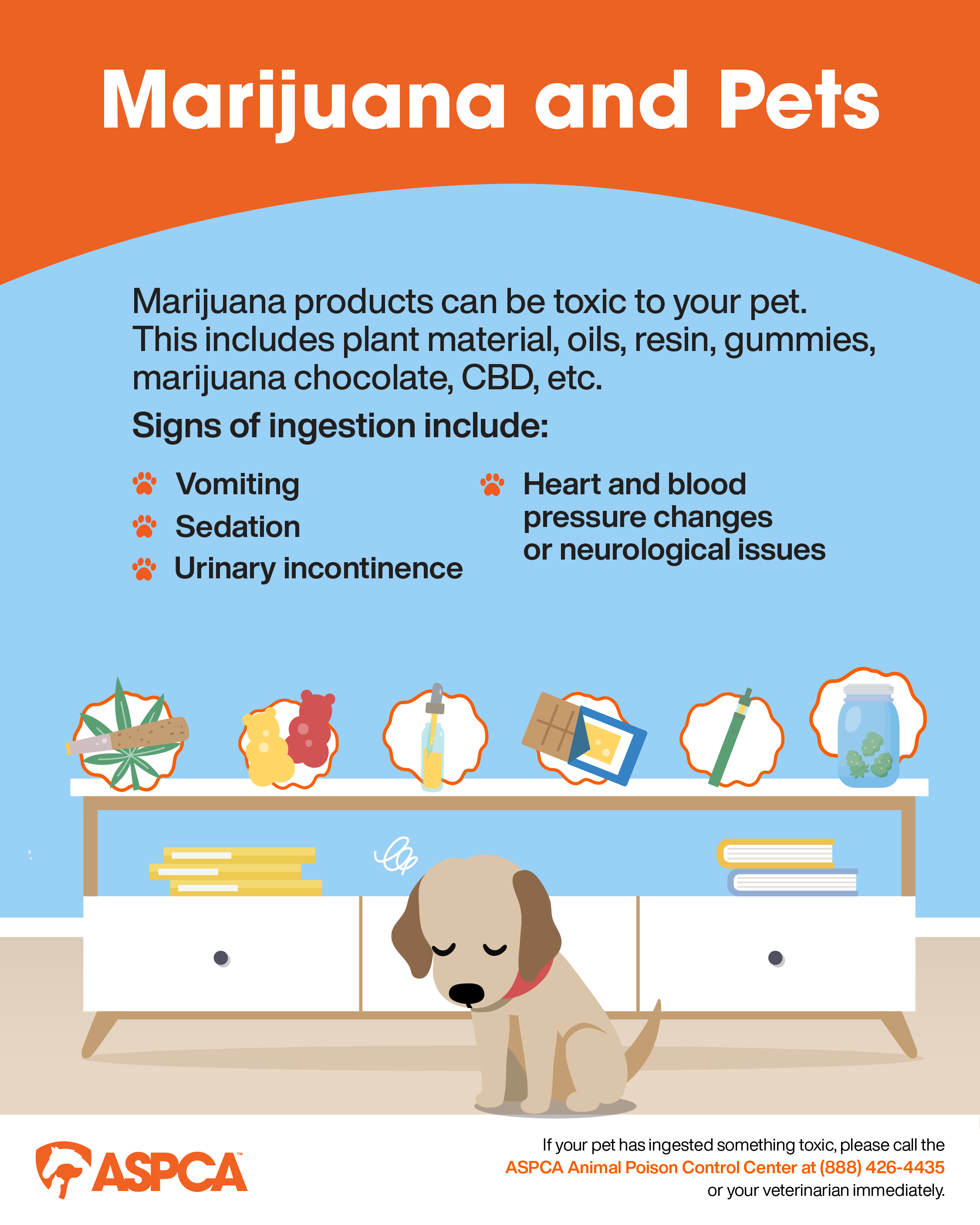 Is Weed and Feed Pet Safe? Learn How to Protect Your Pets Outside